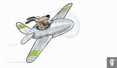 gSCHLICHT_Illustration_Hund_Flugzeug_Wacom_R_WEB.jpg
