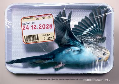 gSCHLICHT_Print_Plakat_Tierschutz_Zoologische-Fachbetriebe_Vogel_BIG_WEB.jpg