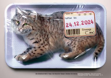 gSCHLICHT_Print_Plakat_Tierschutz_Zoologische-Fachbetriebe_Katze_BIG_WEB.jpg